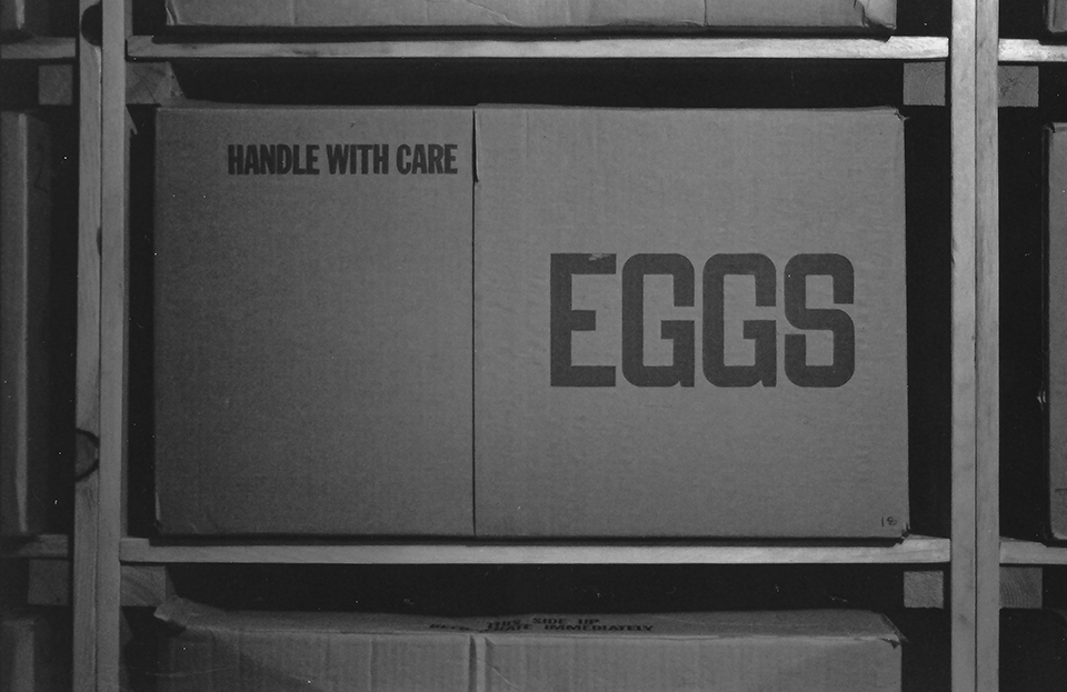 Alt Text is good for SEO